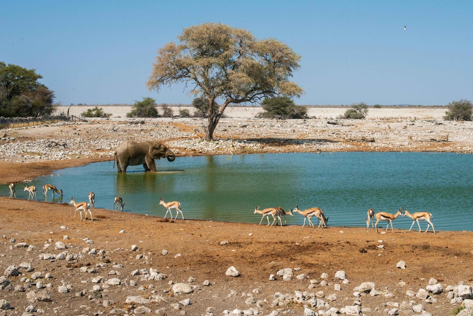 Namibia desert landscape